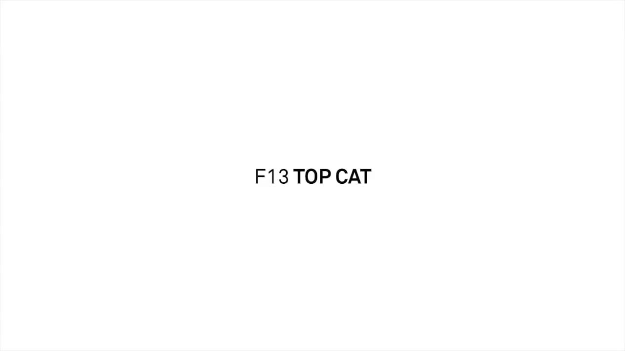 F13 TOP CAT | FREITAG