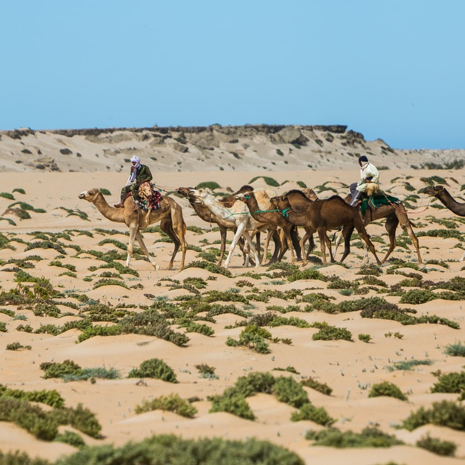 beyond-africa-surf-movie-dakhla_c_lupi_spuma.jpg