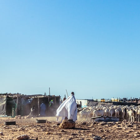 beyond-africa-surf-movie_beyond_mauritania_nouadhibou_134_c_lupi_spuma.jpg