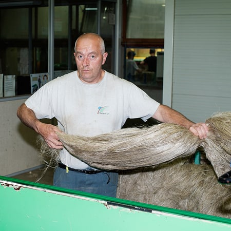 08_f_abric_lukas_wassmann.jpg 08_f_abric_lukas_wassmann.jpg