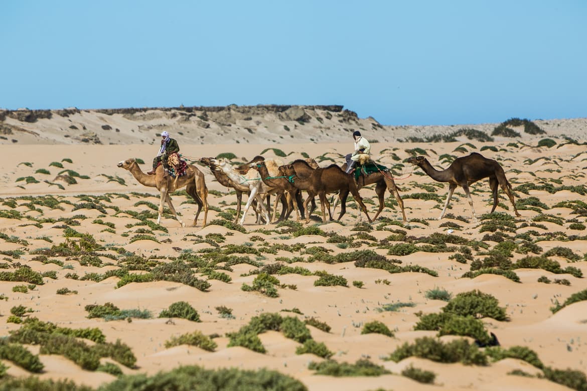 beyond-africa-surf-movie-dakhla_c_lupi_spuma.jpg